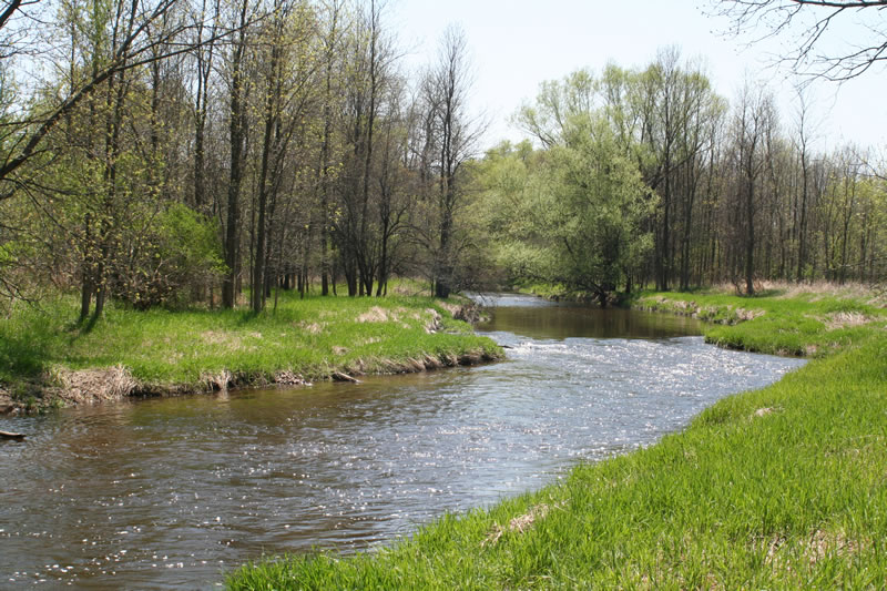 River Habitat