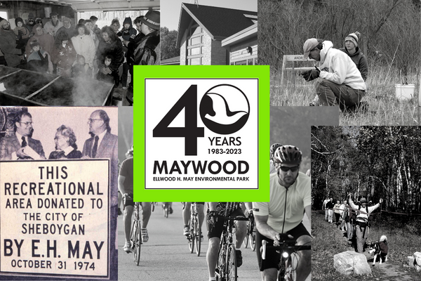 collage of historical images with 40th anniversary logo